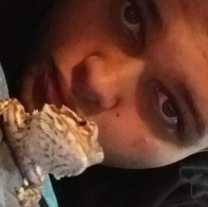 Meet your Posher, Chase